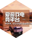 爱游戏赛事中德合璧 实力可鉴