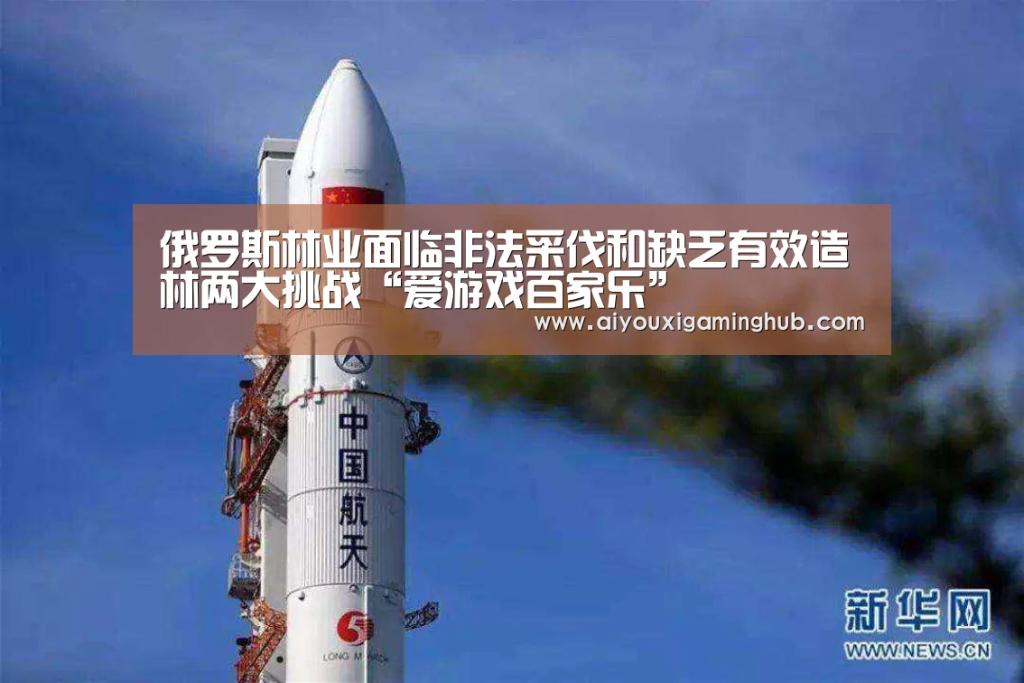 爱游戏竞猜